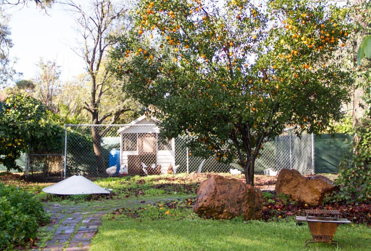 Farview Guest Accommodation Pickering Brook Exteriér fotografie